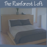 The Rainforest Loft